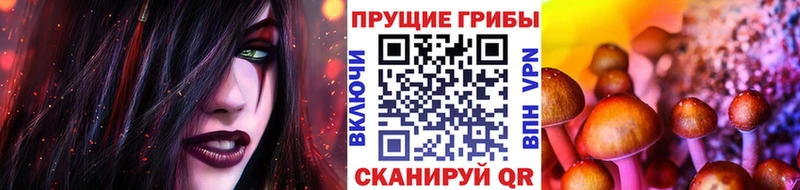 купить наркотик  Инта  Галлюциногенные грибы Psilocybine cubensis 